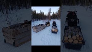 Съездили за дровами в делянку за сушняком, Буран и Бур?