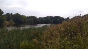 Рязанская область. Красота природы.