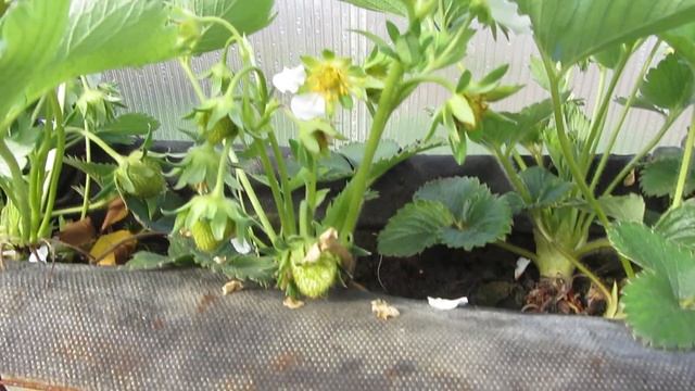 17 апреля.Воронежская область. смотреть онлайн