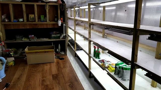 Сколько у нас ТЕПЛИЦ СПЕЦ-ОБЗОР для наших зрителей!