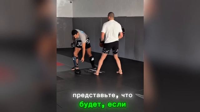 АНКАЛАЕВ ПРОТИВ ПЕРЕЙРЫ: ПОЧЕМУ БОЙ МОЖЕТ СТАТЬ КОШМА?