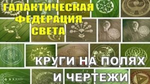 ✨ Галактическая Федерация: Круги на полях и чертежи