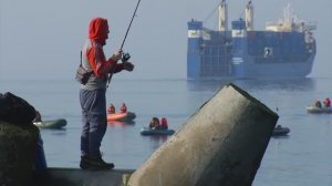 Калининградская область- Жемчужина России! День России!!!👍👍👍