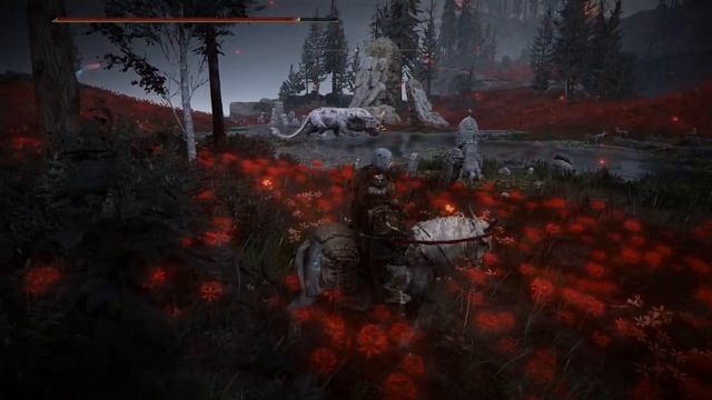 Elden Ring Shadow of the Erdtree. Тайная Могила Харо. #eldenring #eldenringshadowof смотреть онлайн