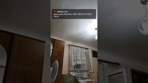 Прямая трансляция fishing и мы !