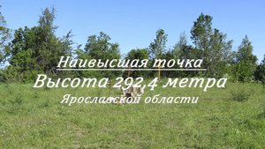 Высота 292,4 метра. Наивысшая точка Ярославской области. Тархов холм.