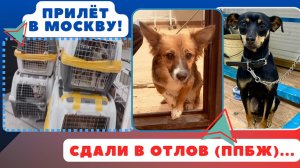 Не хватило места в ракете!
