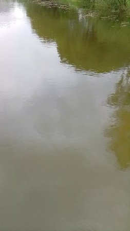 выпускаем Тоху