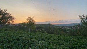 Код Гармонии: Расшифровывая математические принципы, лежащие в основе природной красоты.