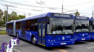 Поездка на автобусе ЛиАЗ-6213.22 № 14314 (013304) Маршрут № 810 (с510) Москва.