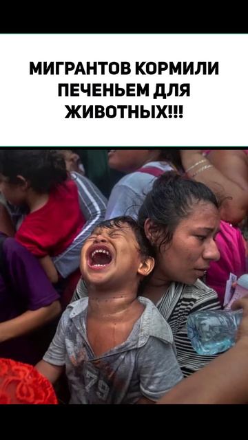 МИГРАНТОВ КОРМИЛИ ПЕЧЕНЬЕМ ДЛЯ ЖИВОТНЫХ!!!