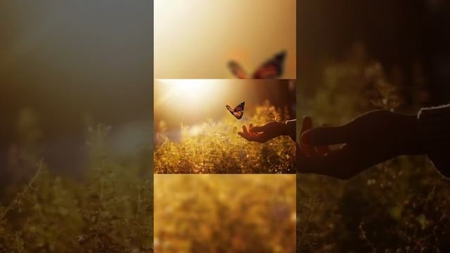 Г. Х. Андерсен. Оле Лукое. смотреть онлайн