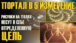 Портал в 5 измерение: рисунки на полях несут в себе определённую цель