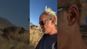 Тревор Филипс (Trevor Philips) из GTA 5. Steven Ogg