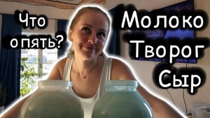 (Перезалив) Нас опять замело/ Сварила сыр, сделала творог