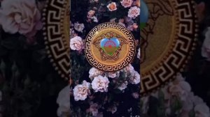 Цыганская Полька 2023 года🌝🌹