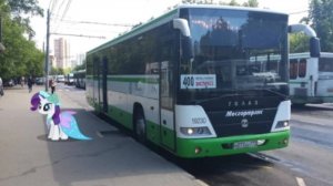 Поездка на автобусе Маршрут № 400э Москва-Зеленоград