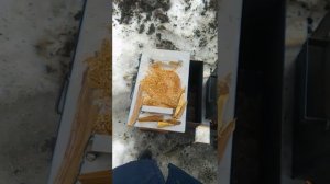 Копчение рыбы и картофеля