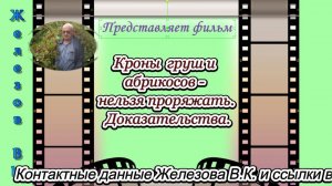 Кроны  груш и абрикосов - нельзя проряжать. Доказательства.