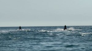 IMG_4037
