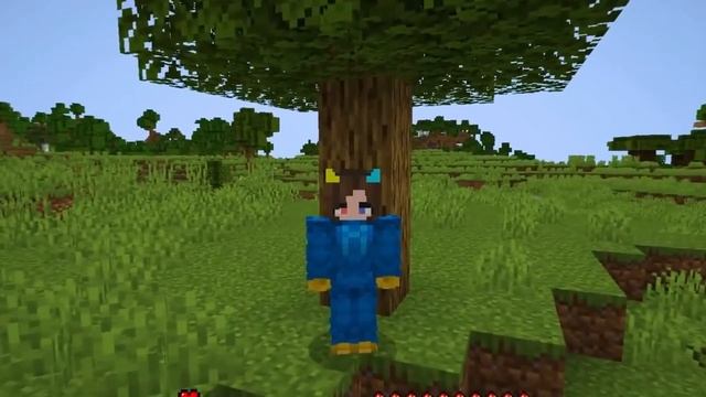 песня фласка халява