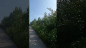 После завтрака