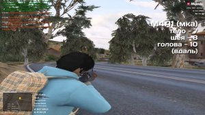 ЛУЧШЕЕ ОРУЖИЕ В GTA 5 RP | MAJESTIC RP
