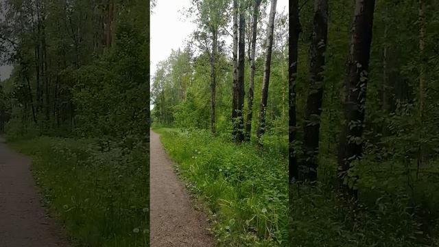 Прогулка по парку у пруда