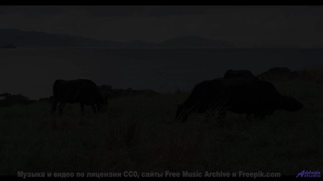 Эти виды заставят вас замереть - а музыка добьёт! - Why Me -- Omura -- The Whales Bay