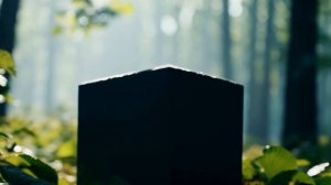 Джо Диспенза. Медитации. Введение