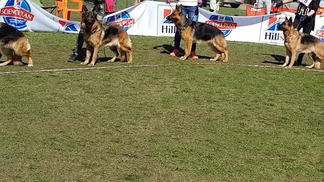 Смоленск 2018 класс рабочие суки(1) смотреть онлайн