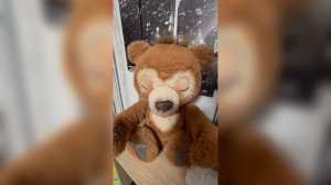 Русский Мишка Furreal Friends Рославль