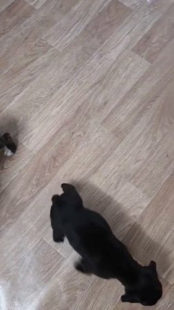 1000001508.mp4