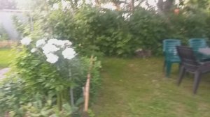 От деревенских забот в городские. Нужен порядок везде.