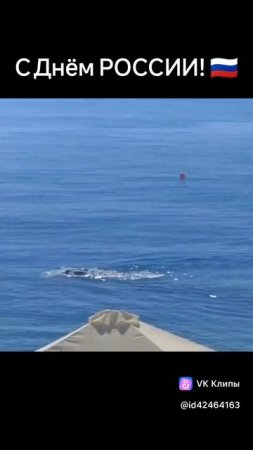 День РОССИИ! Ялта. Море. Крым.