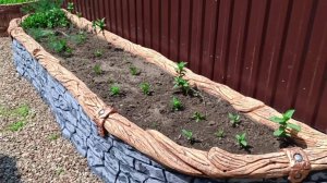 цветник  на  даче мастер  Виктор , город Горняк Алтайский край.