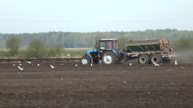 ОАО "Сковшин" поделились ходом посевной смотреть онлайн