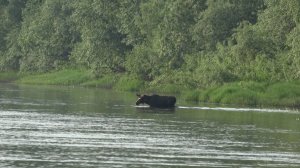 Наконец то дождались . Открыл сезон 2025