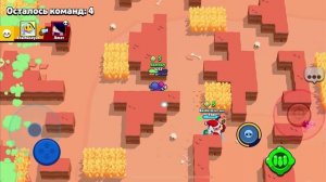 Бравлик старсин