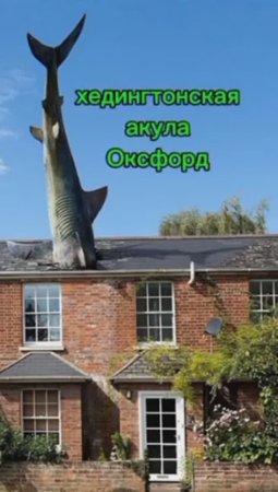 Кто же его посадит?Он же памятник.
#памятники#смехигрех