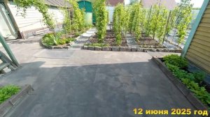 7 соток. Пора подвязывать малину. Хроника 12 июня 2025 год