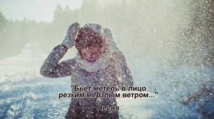 "Бьет метель в лицо..", Песня.. исп. Шинкарева Светлана