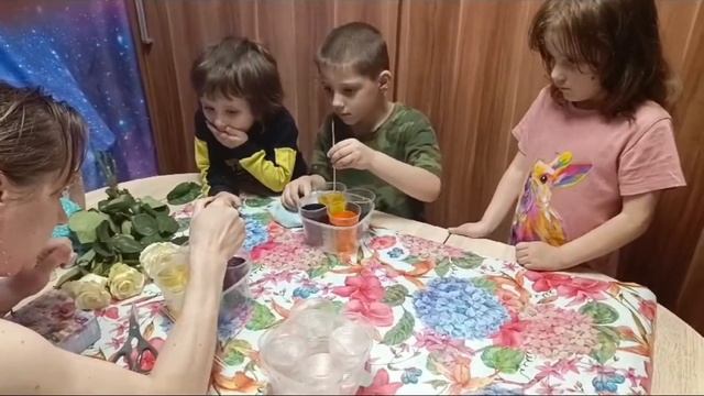 Эксперимент с белыми розами и красителями смотреть онлайн