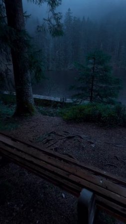 Интеллект клуб онлайн Супер Джамп Матвей Харитонов