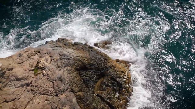 Голос Женщины смотреть онлайн