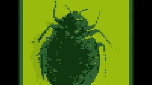 Запрещённое видео | Огромные Жирные Жопы | 30+