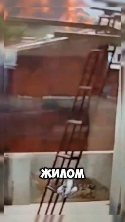 Упал самолёт #индия #самолет #чп #shortvideo #shorts #video #новости #тренды #катастрофы #india