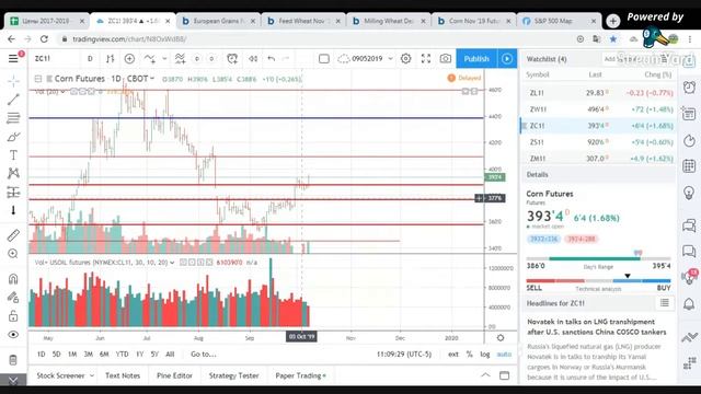 08.10.2019 обзор цен на зерновые и масличные смотреть онлайн