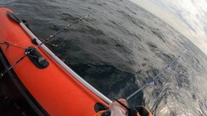 Морская Рыбалка в Мурманске (Ура-Губа) ЧАСТЬ 2