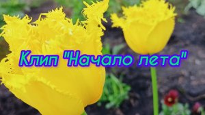 Клип "Начало лета!" 🌼